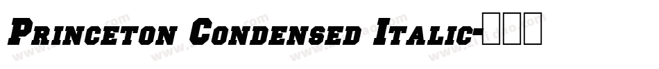 Princeton Condensed Italic字体转换